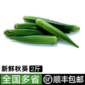 绿食者 秋葵2斤 新鲜蔬菜沙拉食材 水果黄秋葵 六角羊角豆包邮